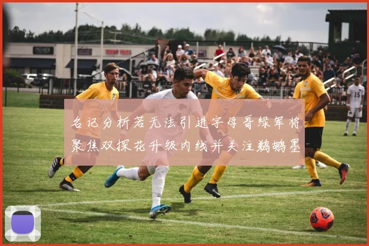 名记分析若无法引进字母哥绿军将聚焦双探花升级内线并关注鹈鹕墨菲